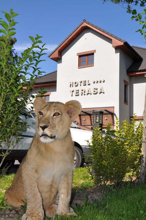 Hotel Terasa Фридек-Мистек Экстерьер фото